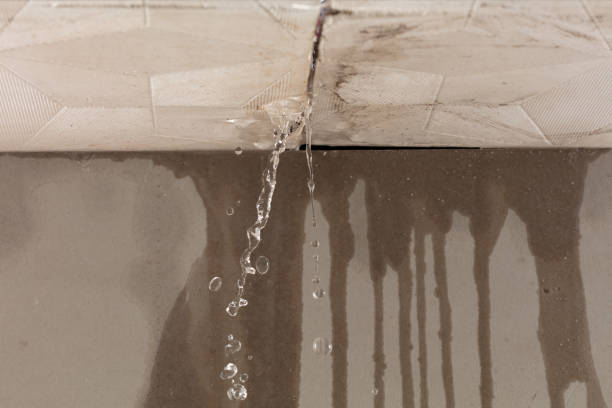 Professional Structural Drying technician working in Saxapahaw, NC